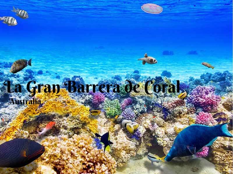 Barrera de Coral