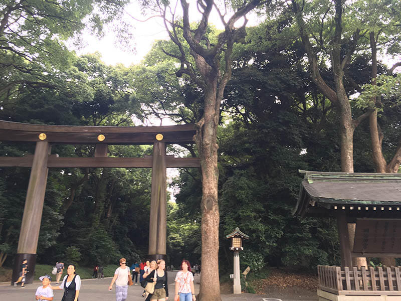 Torii del santuario Meiji
