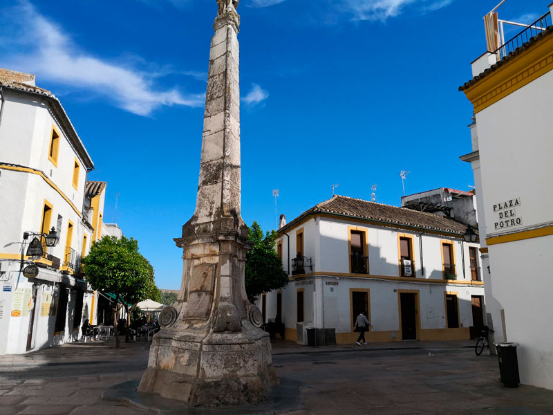 Una visita al sur de España no es completa sin la cata de tapas en sus terrazas. Aquí destacan las de las plazas de la ciudad.