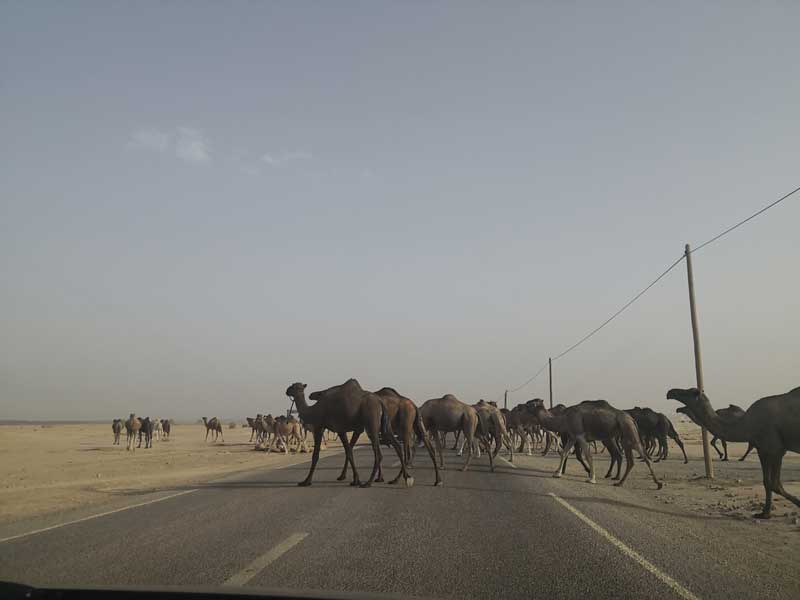 carreteras del sur de Marruecos