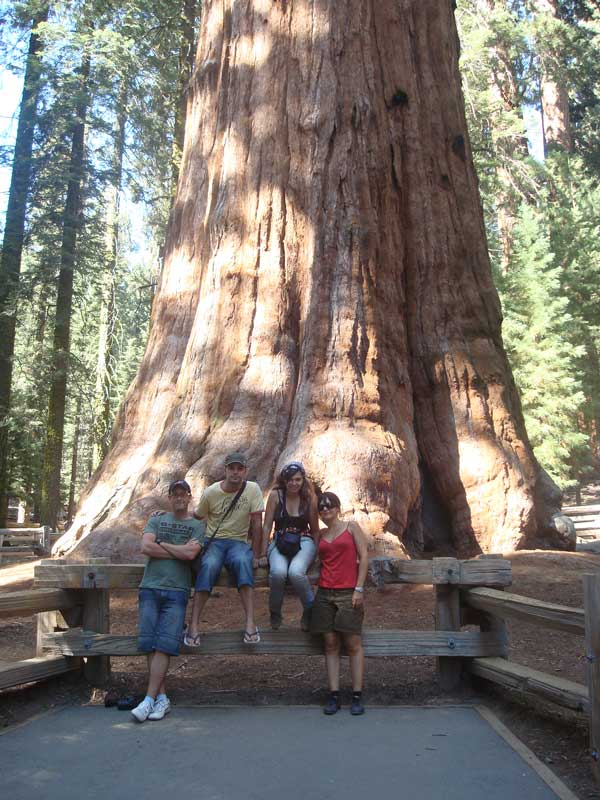 General Sherman en el parque nacional sequoia de california en estados unidos