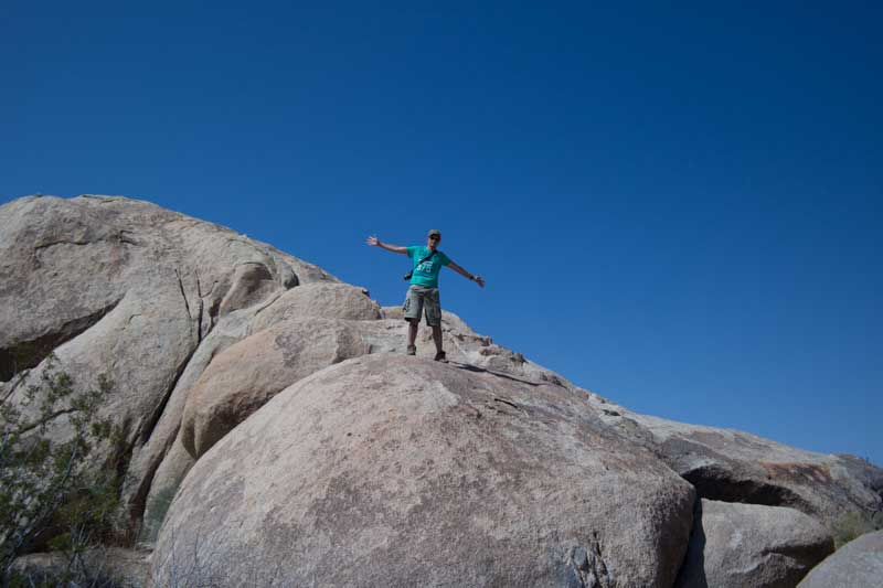Jumbo rocks en tree national park de california