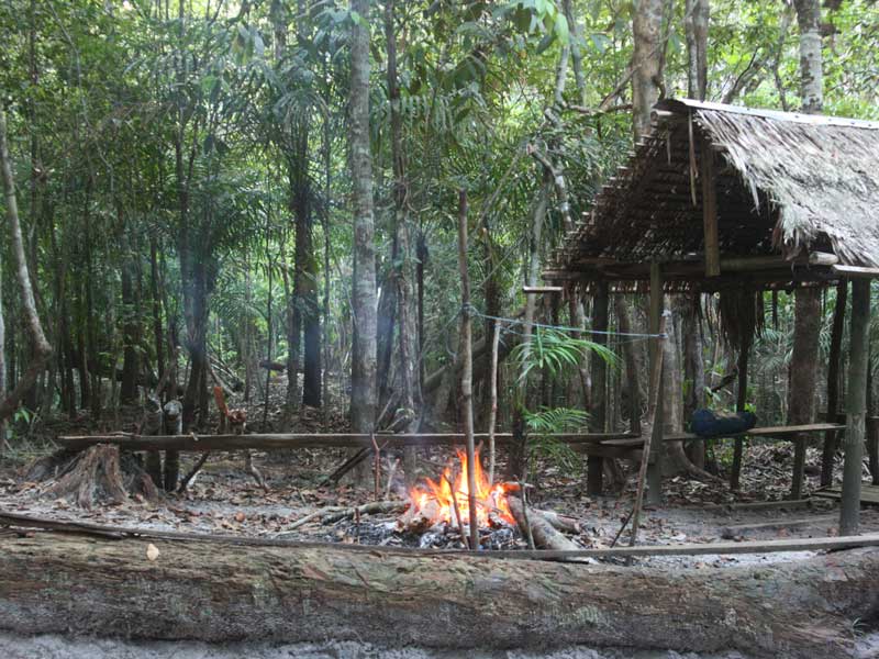 acampada amazonas