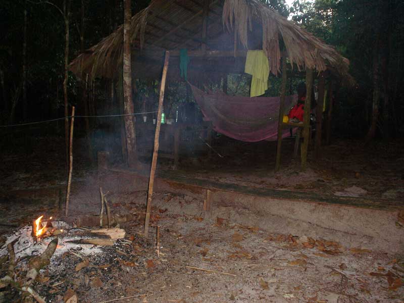 selva amazonas acampar