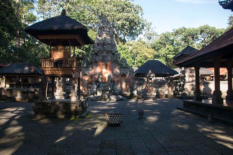 monkey forest bali ubud que ver