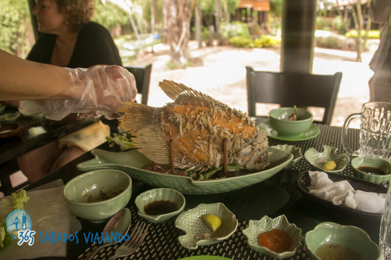 excursiones al delta del mekong desde ho chi minh