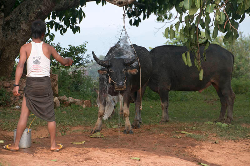trekking kalaw a inle