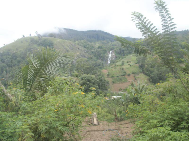 guía turística Ella lugares turisticos sri lanka