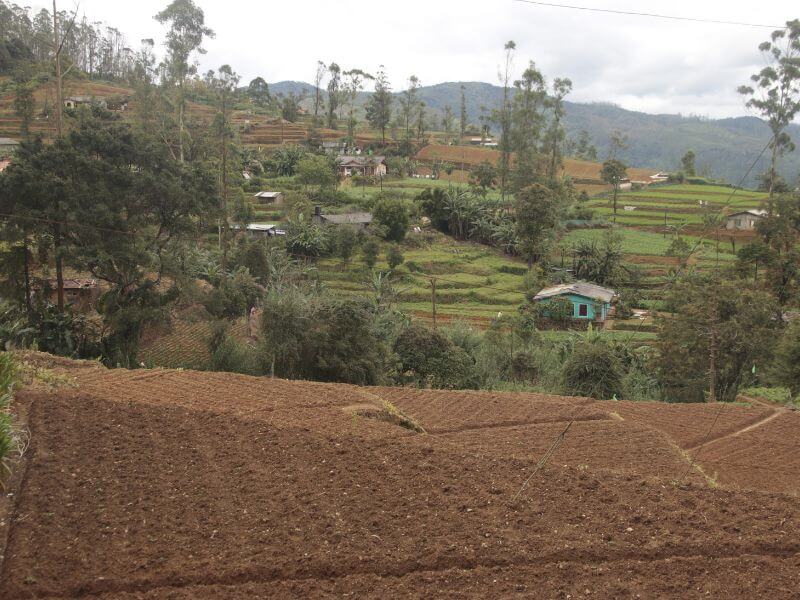 Ella y sus alrededores excursiones viajar sri lanka