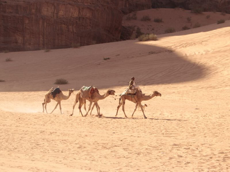 Qué hacer en Wadi Rum