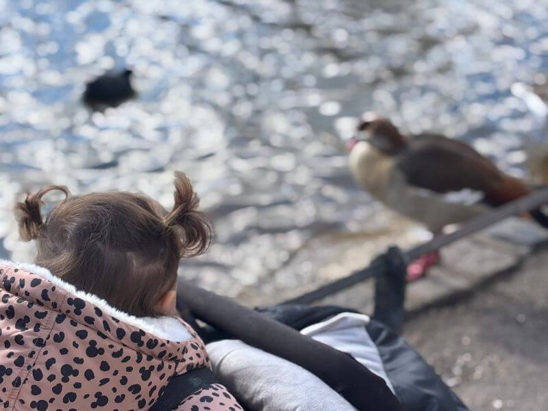 St James Park London