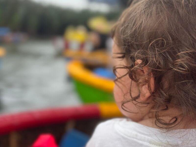 coconut forest vietnam