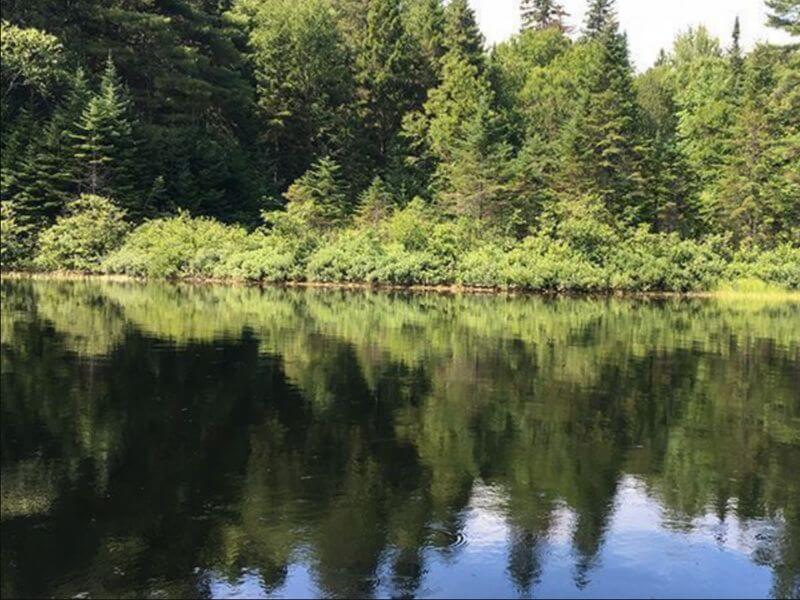 Parque Nacional La Mauricie Canadá